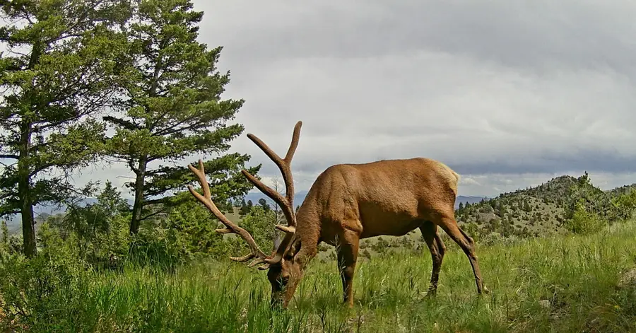 TBD Pvt 1 Road, Radersburg, MT 59641 - #3