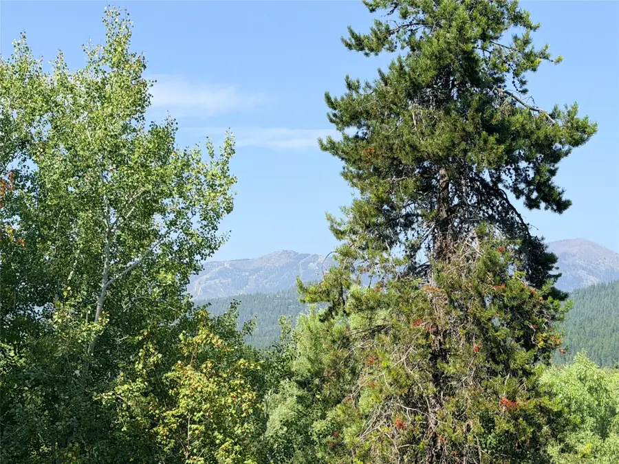 972 Colorado Avenue, Whitefish, MT 59937 - #3