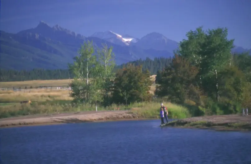 188 Pheasant Ridge, Polson, MT 59860 - #2