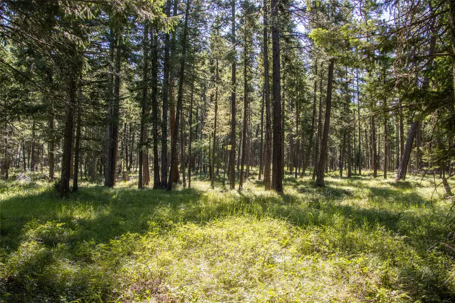 650 Boulder Ridge Trail, Columbia Falls, MT 59912 - #3