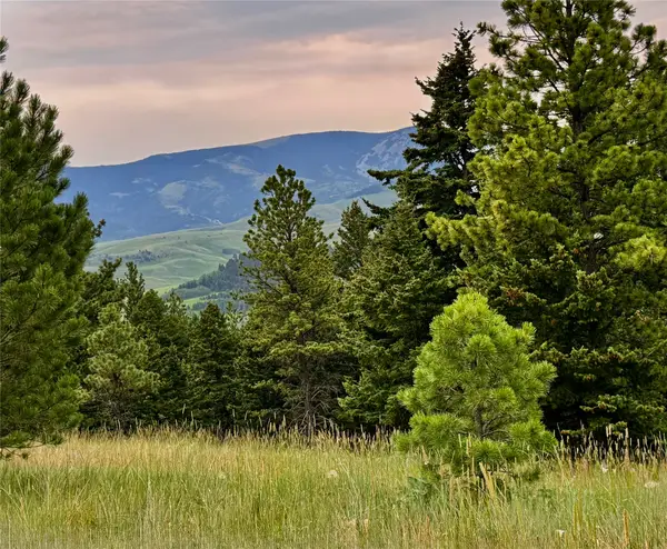 TBD Arrowwood Estates Lane, Raynesford, MT 59469