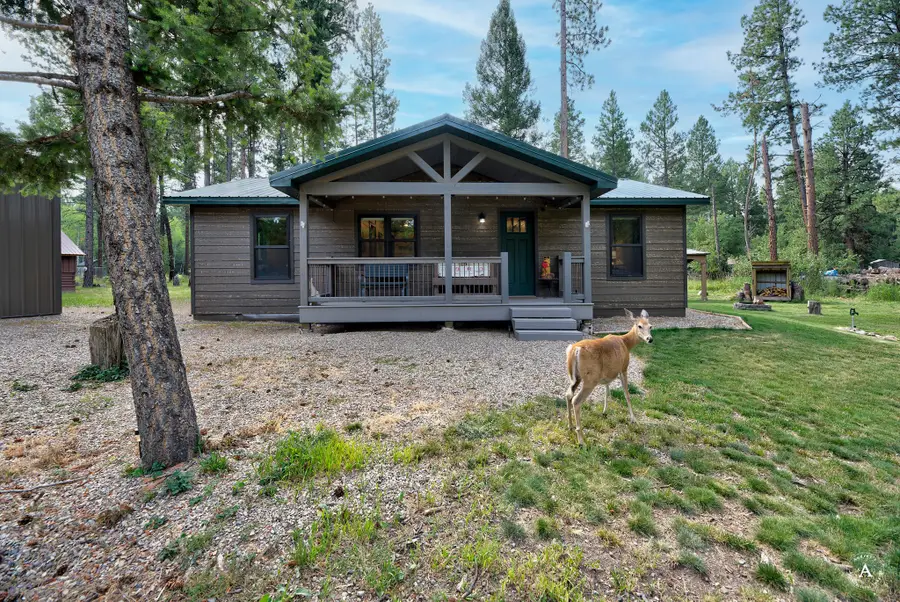 4147 Snow Fleury Lane, Lincoln, MT 59639 - #2