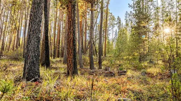Lot 7 TBD Mitchell Drive, Anaconda, MT 59711