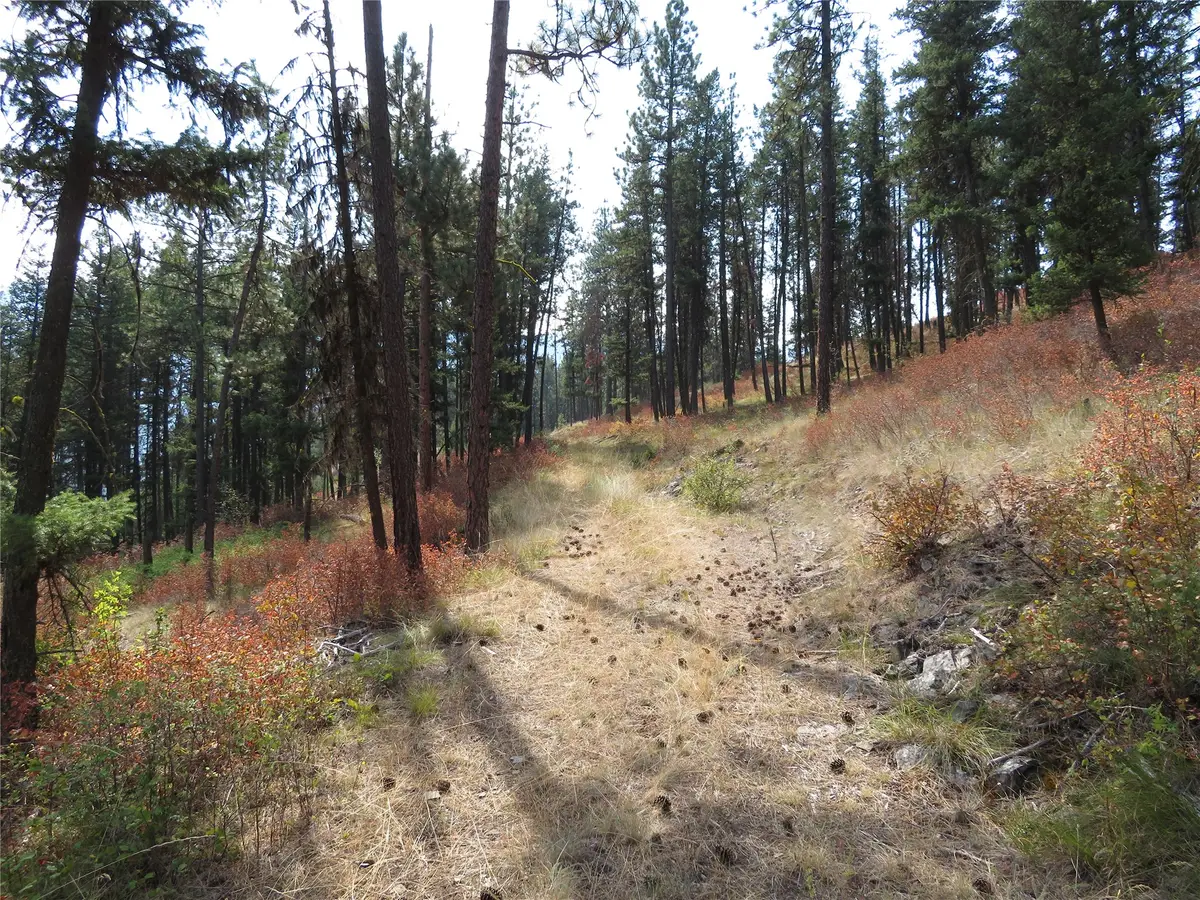 NHN Rosco Road, Alberton, MT 59820 - #1