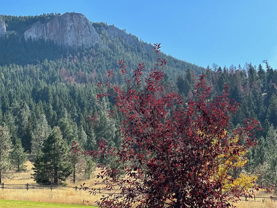 000 Reber Road, Helena, MT 59601 - #2