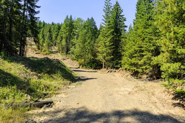 208 Elk Creek Road, Heron, MT 59844