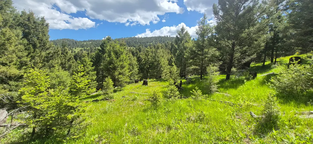 28 Muskrat Road, Helmville, MT 59843 - #1
