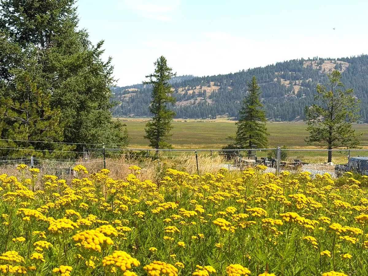 200 Cottage Lane, Kila, MT 59920 - #1