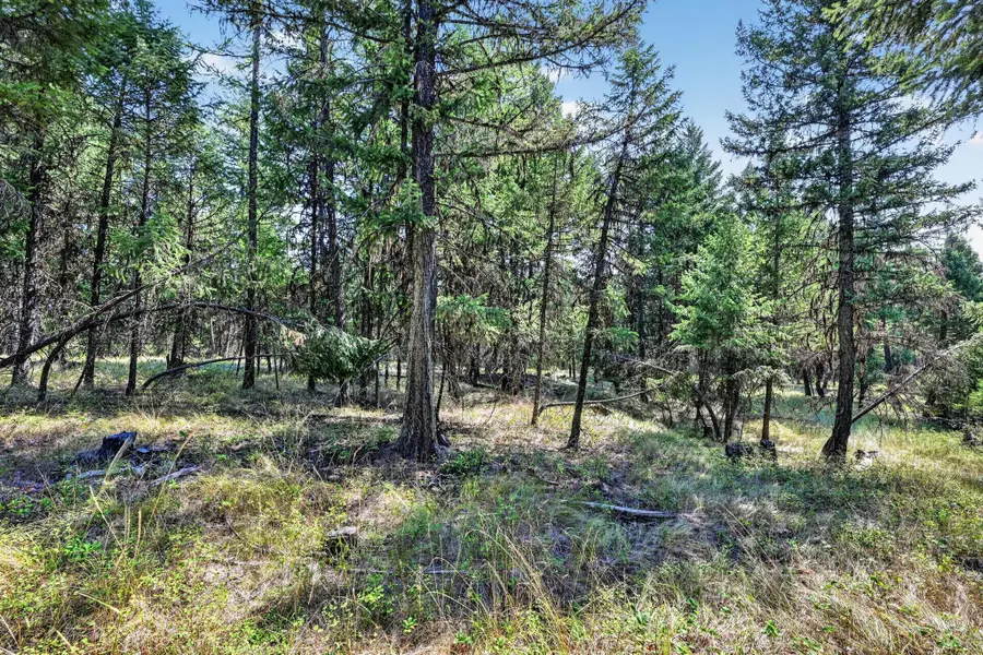 Lot 3 Forest Ridge Road, Fortine, MT 59918 - #2