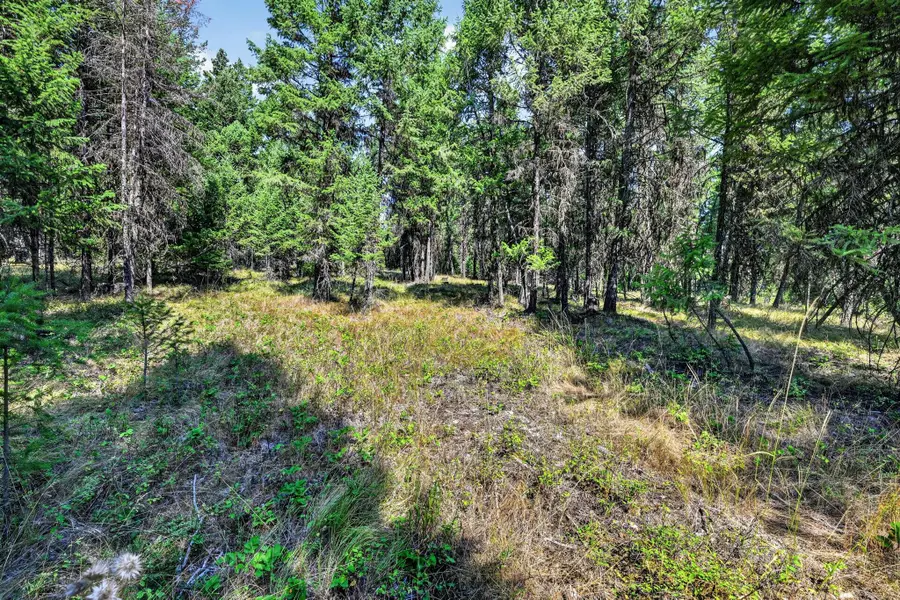 Lot 3 Forest Ridge Road, Fortine, MT 59918 - #3