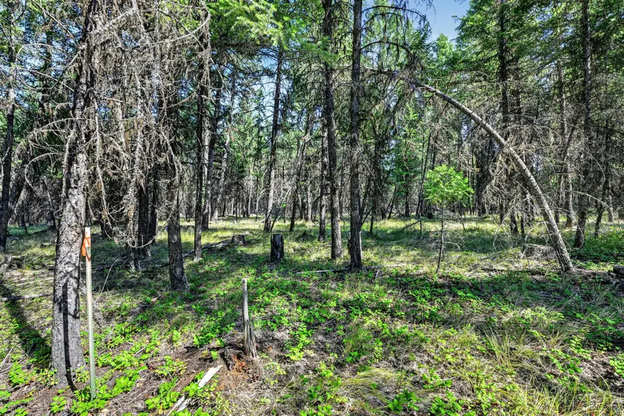 Lot 4 Forest Ridge Road, Fortine, MT 59918 - #2