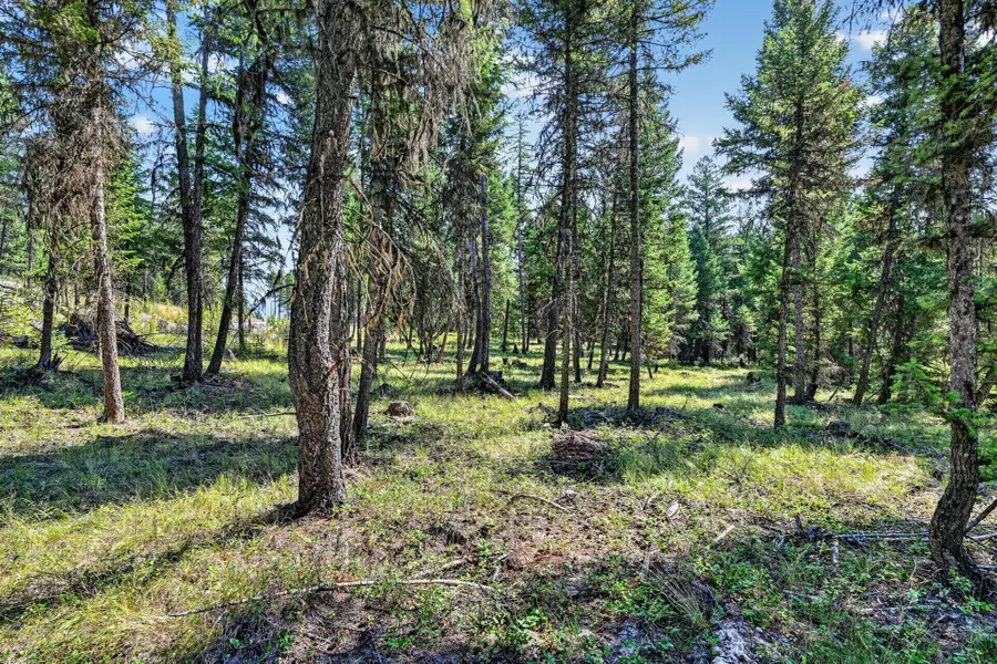 Lot 4 Forest Ridge Road, Fortine, MT 59918 - #3