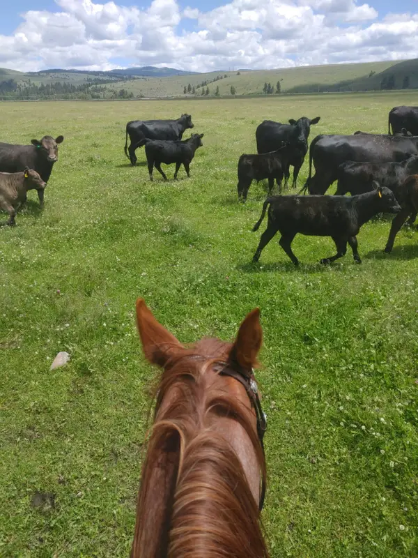 NHN Farm View Lane, Florence, MT 59833