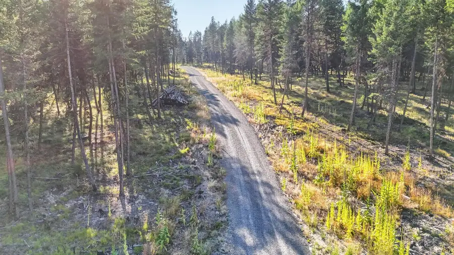 Lot 5 Forest Ridge Road, Fortine, MT 59918 - #3