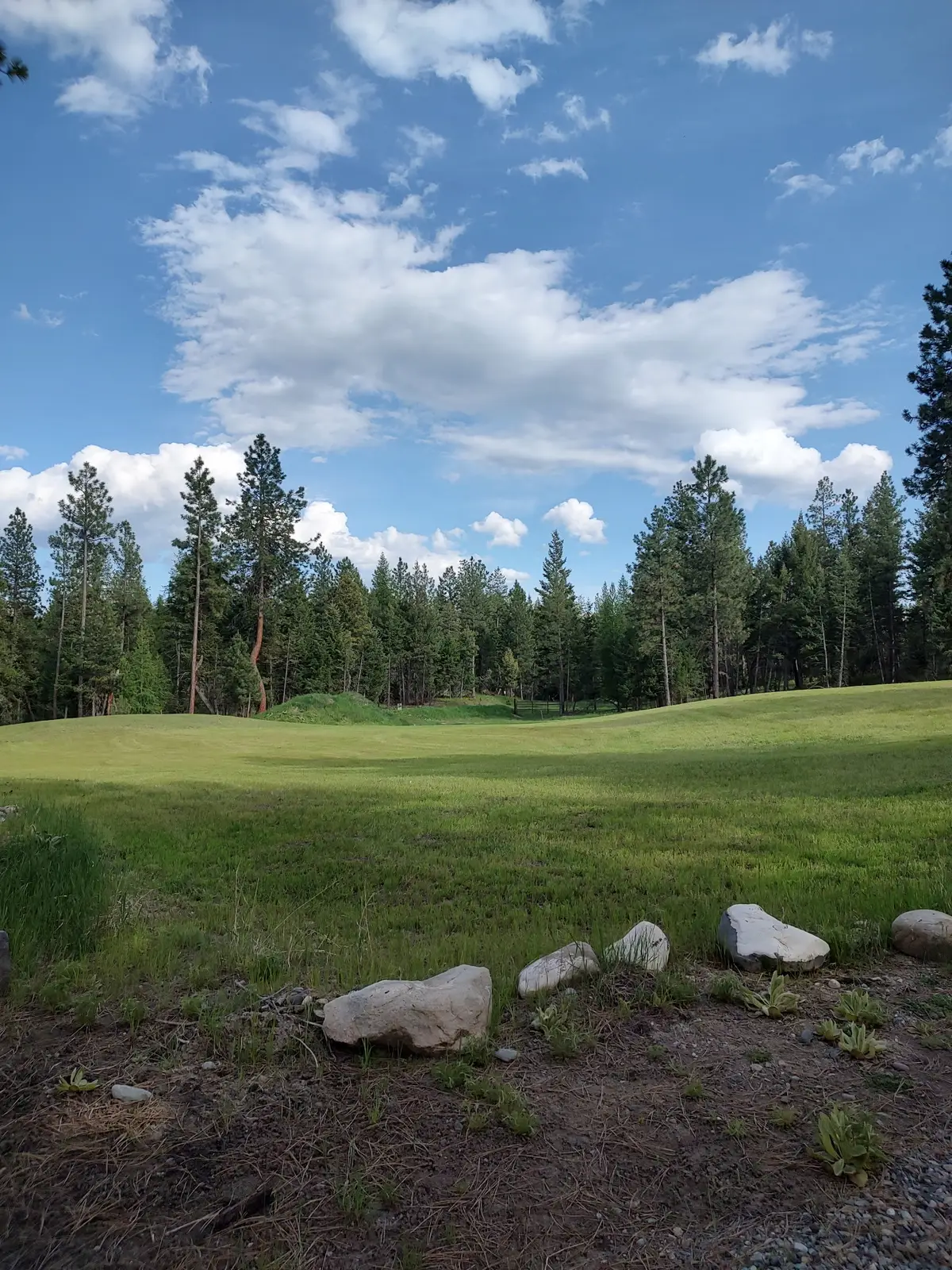 120 Old Sinclair Road, Eureka, MT 59917 - #1