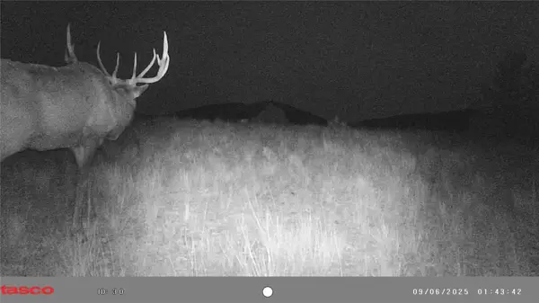 TBD Keating Gulch Road, Radersburg, MT 59641