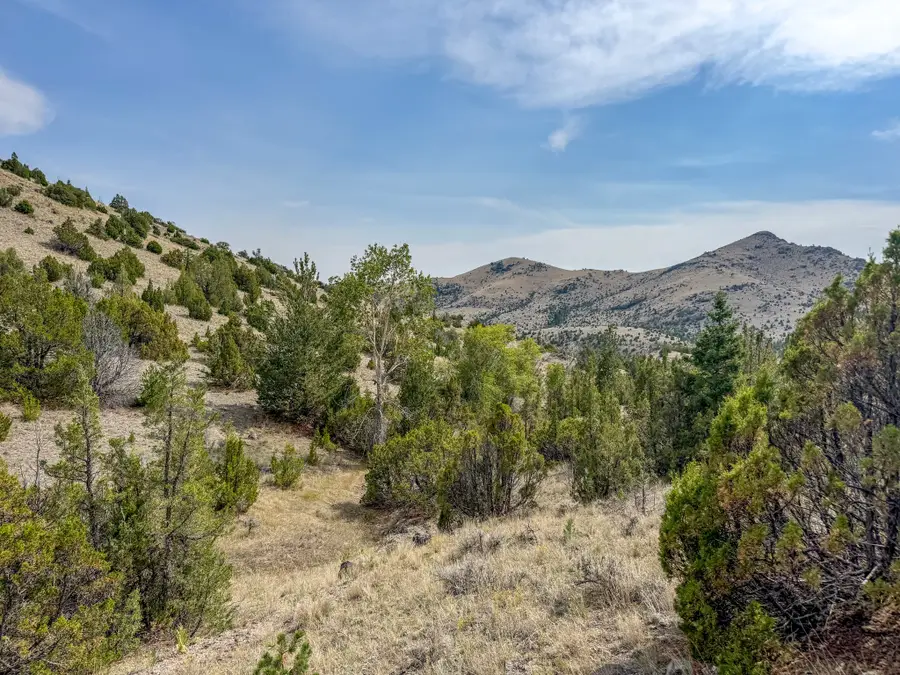 TBD Johnny Gulch Road, Radersburg, MT 59641 - #3