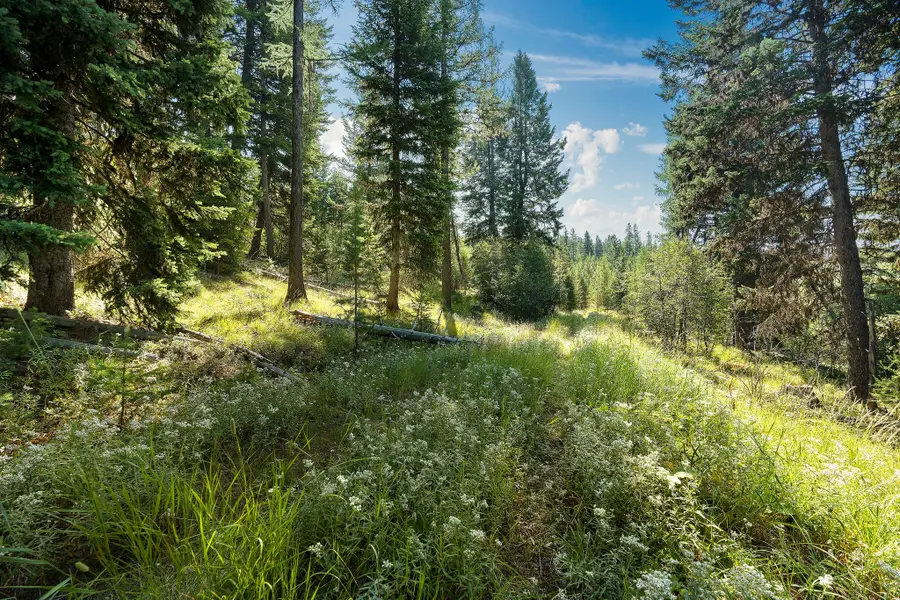 Nhn Fish Creek Road, Kalispell, MT 59901 - #3