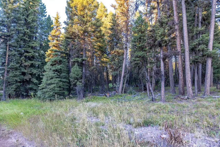 412 Glacier Drive, Seeley Lake, MT 59868 - #3