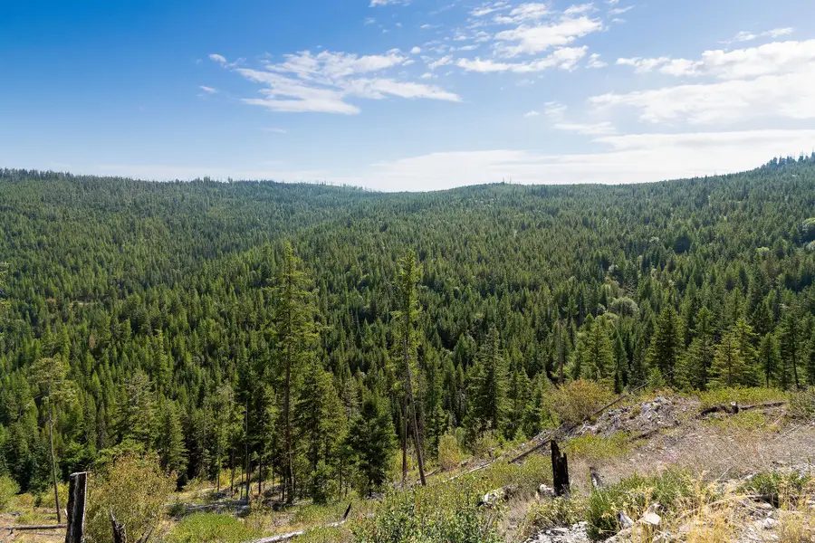 Nhn Idaho Hill Road, Marion, MT 59925 - #3
