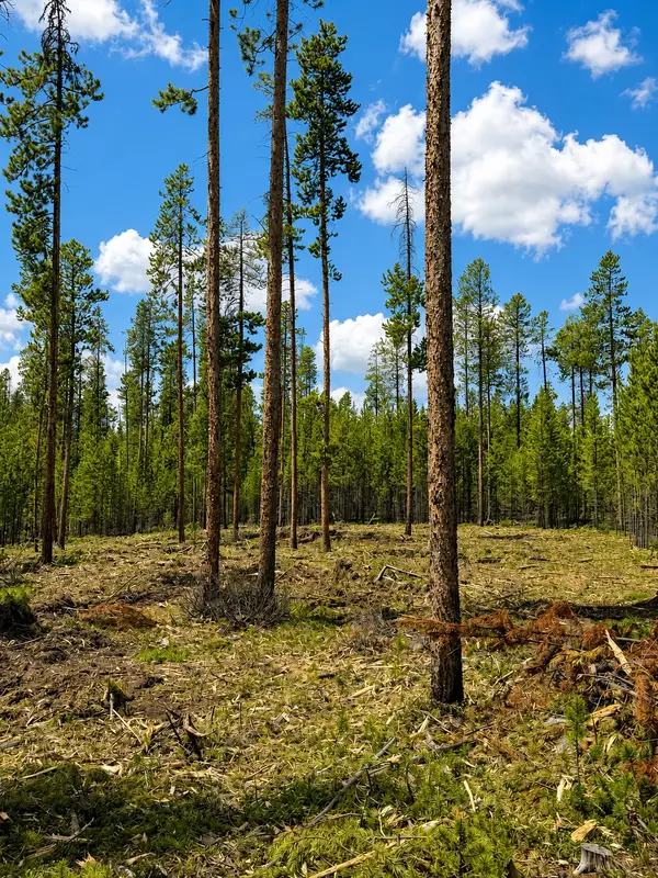 Lot 12 Herring Flats Road, Anaconda, MT 59711