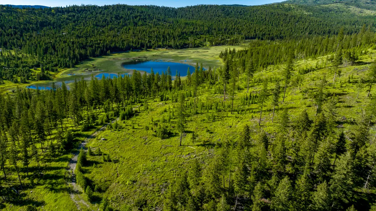 151 Hodge Lake Trail, Kila, MT 59920 - #1