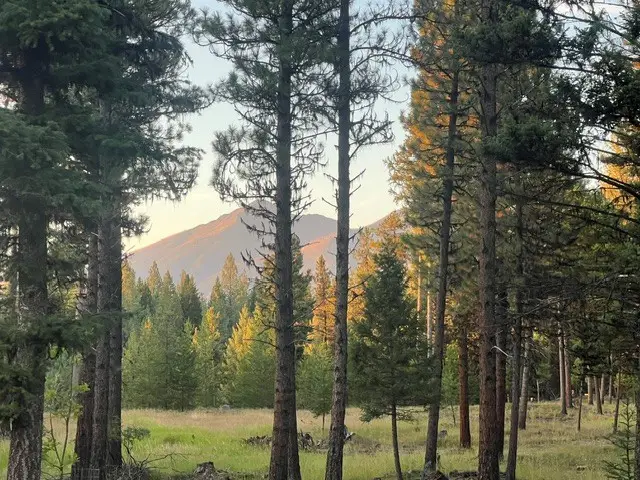1787 Grandview Drive, Seeley Lake, MT 59868 - #2