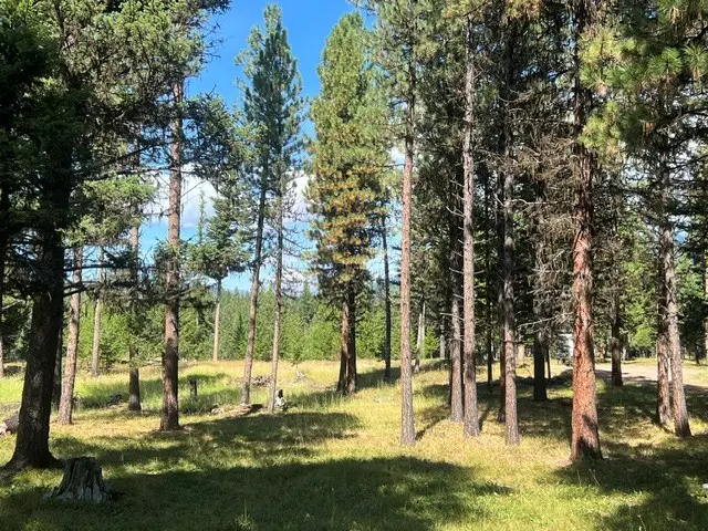 1787 Grandview Drive, Seeley Lake, MT 59868 - #3