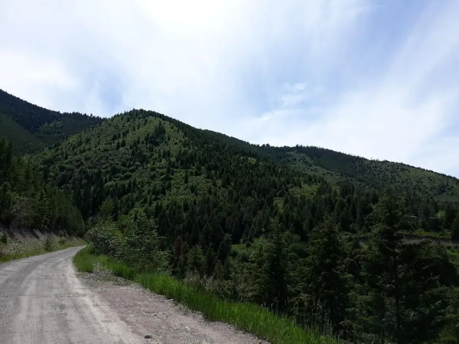 NHN Larch Camp Road, Missoula, MT 59803 - #3