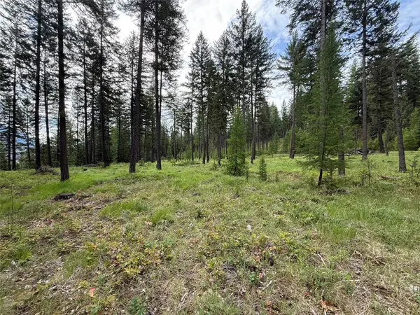 Parcel A Kootenai Drive, Troy, MT 59935