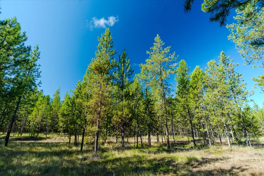 21 Gunsite Court, Marion, MT 59925 - #3