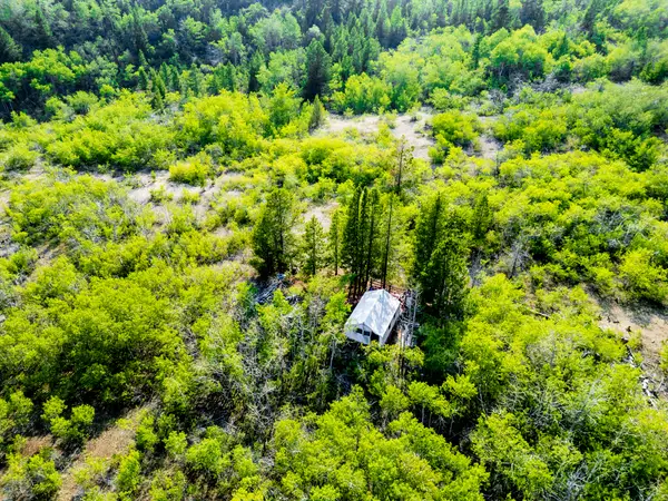 NHN Bear Paw Trail, Anaconda, MT 59711