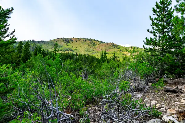 NHN Sheri Trail #Lot 15, Anaconda, MT 59711