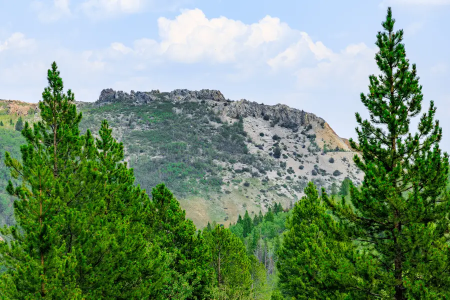 NHN Sheri Trail #Lot 15, Anaconda, MT 59711 - #2