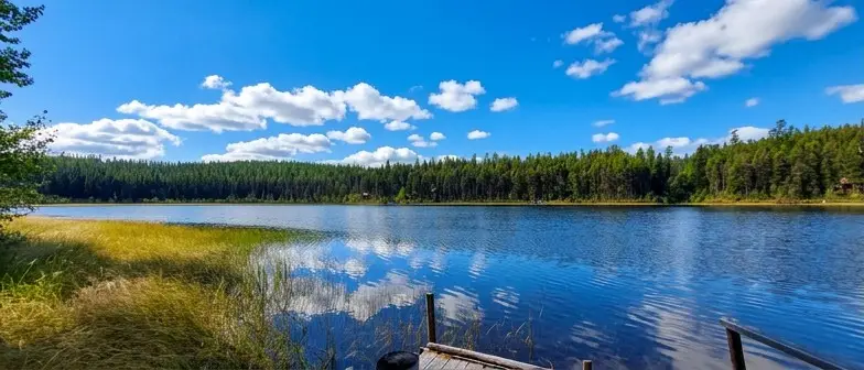 2424 Pierce Lake Road, Seeley Lake, MT 59868 - #3