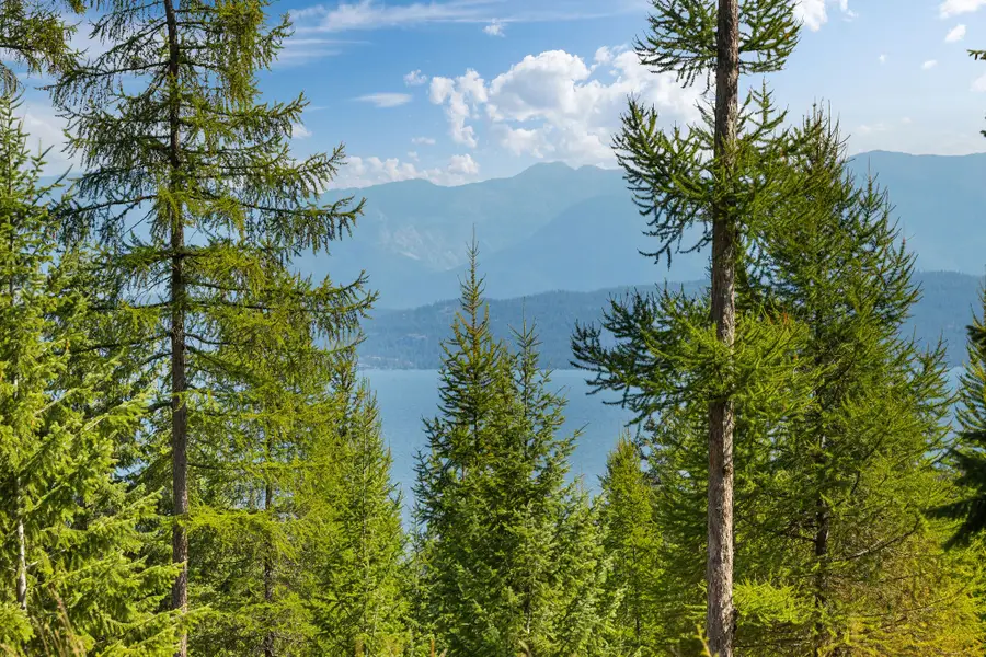150 Eagles Crest Road, Lakeside, MT 59922 - #2