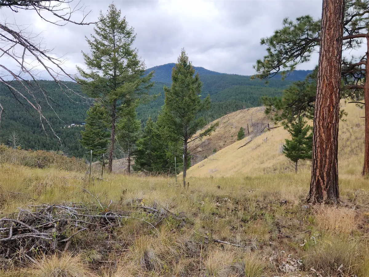 250 Felan Gulch Road, Drummond, MT 59832 - #1