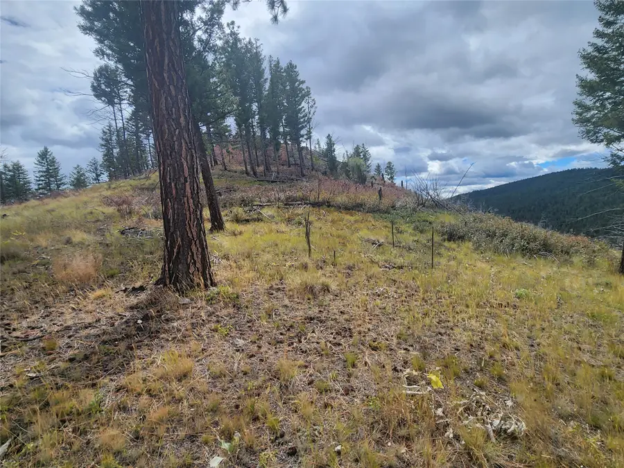 250 Felan Gulch Road, Drummond, MT 59832 - #3