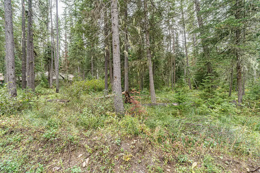 24 1st Avenue E, Essex, MT 59916 - #3