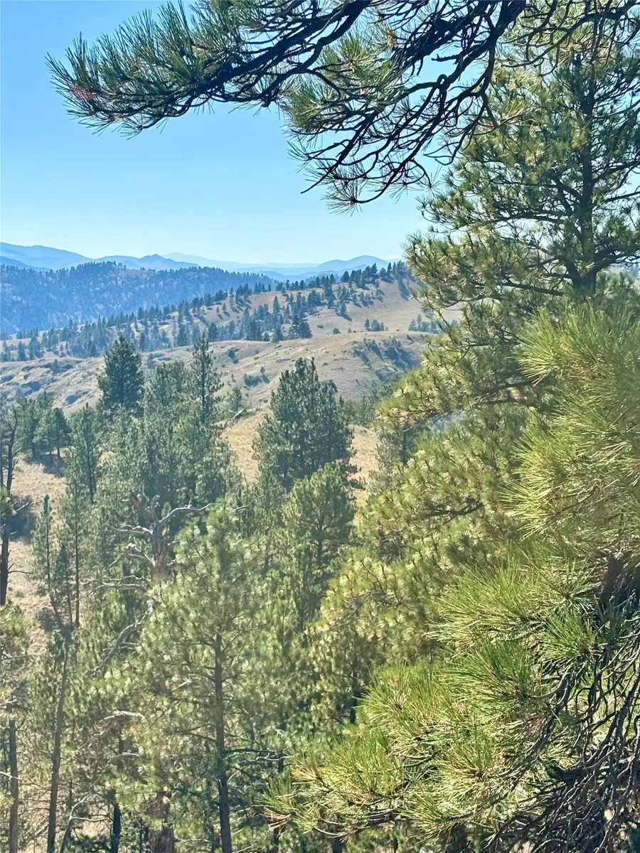 NHN Pioneer Trail Lane, Cascade, MT 59421 - #3