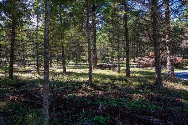 Lot 1 Tobacco Road, Eureka, MT 59917