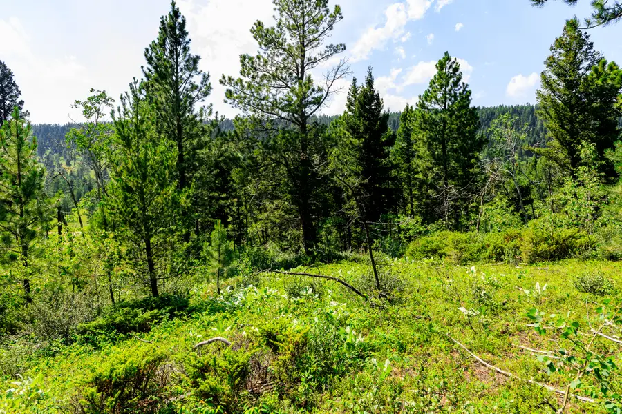 NHN Timber Creek Road, Judith Gap, MT 59453 - #2