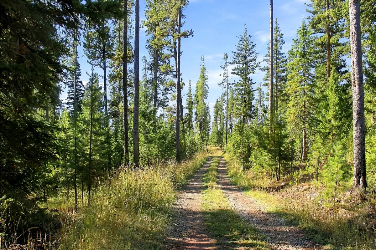 Lot 14 Georgetown Lake Estates, Philipsburg, MT 59858 - #1
