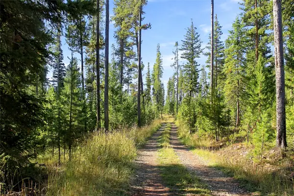 Lot 14 Georgetown Lake Estates, Philipsburg, MT 59858