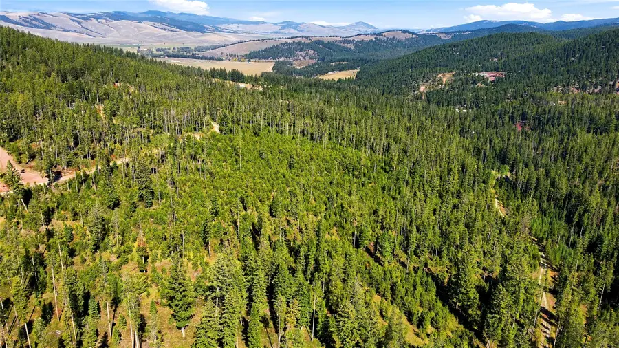Lot 14 Georgetown Lake Estates, Philipsburg, MT 59858 - #2
