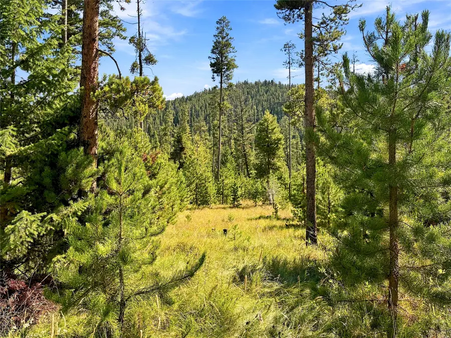 Lot 14 Georgetown Lake Estates, Philipsburg, MT 59858 - #3