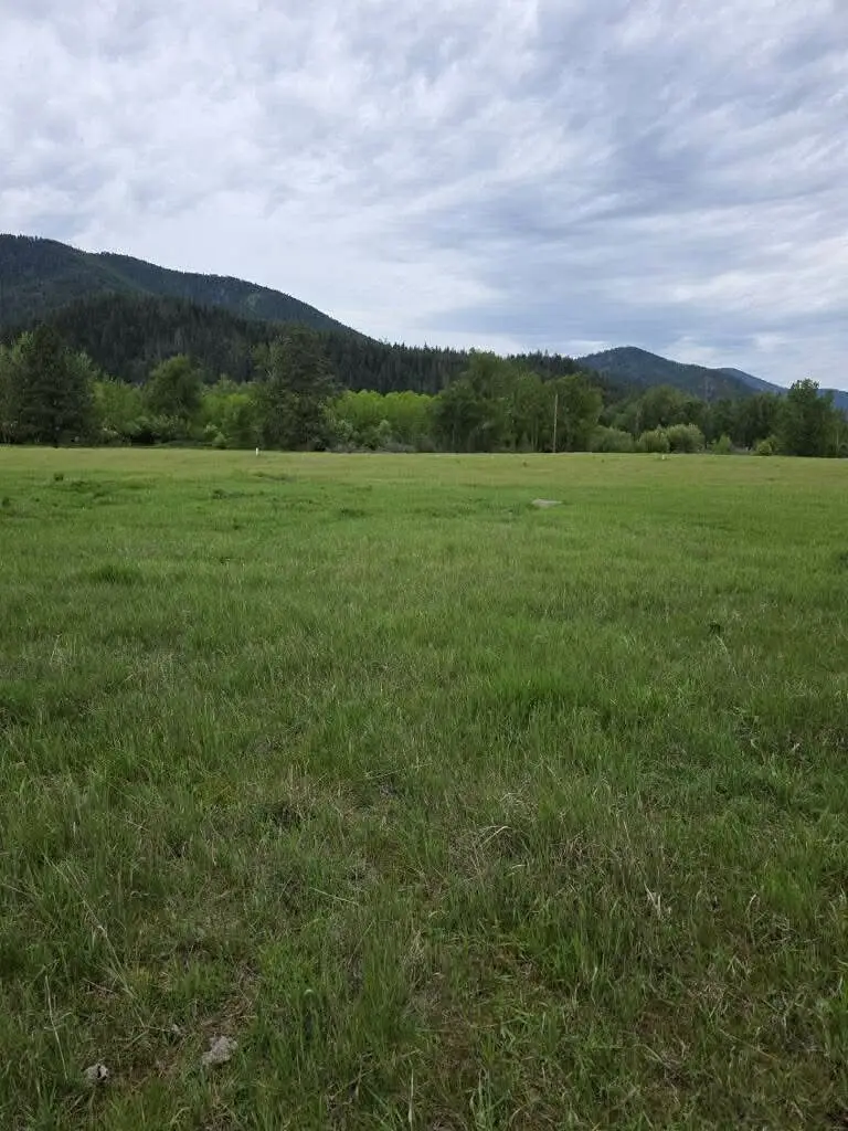 NHN Stitt Lane #A&B, Clinton, MT 59825 - #1