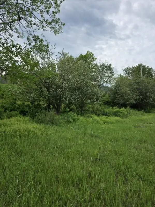 NHN Stitt Lane #A&B, Clinton, MT 59825 - #3