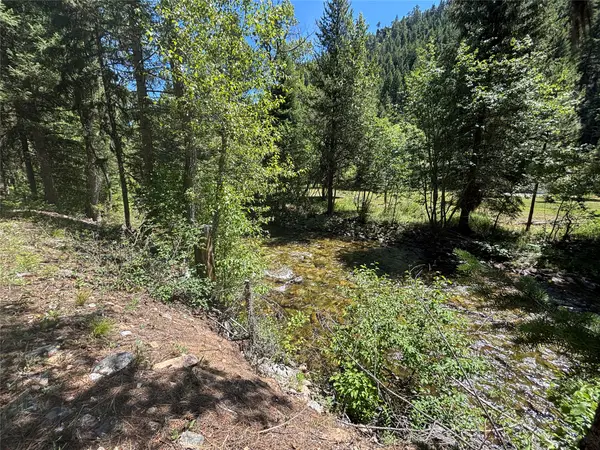 7076 Nez Perce Road, Darby, MT 59829