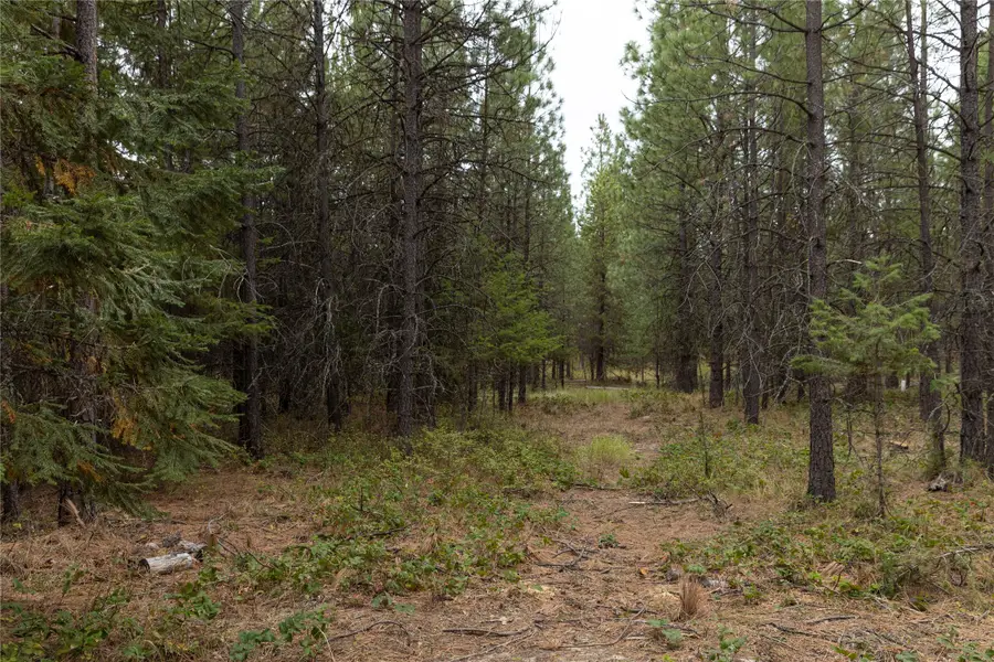 30 Big Loaf Lane, Libby, MT 59923 - #2